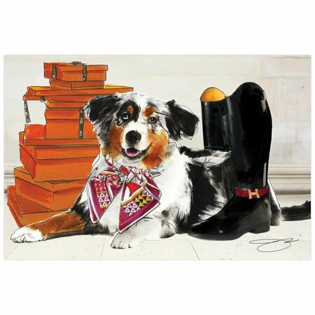 SOLID STORAGE SUPPLIES Border Collie Unframed Free Floating Tempered Glass Panel Graphic Dog Wall Art Print - 16 x 24 in. SO3488937